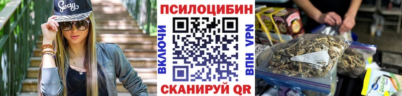 Псилоцибиновые грибы Psilocybe  Купить  Сковородино 